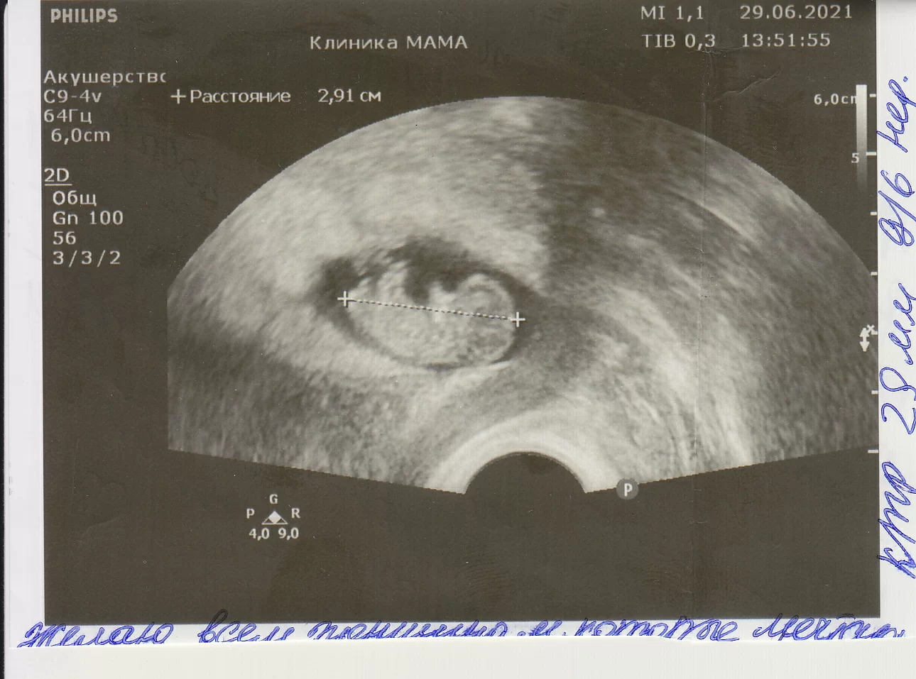 Бесконечная благодарность Коссович Юлии Михайловне и её команде!