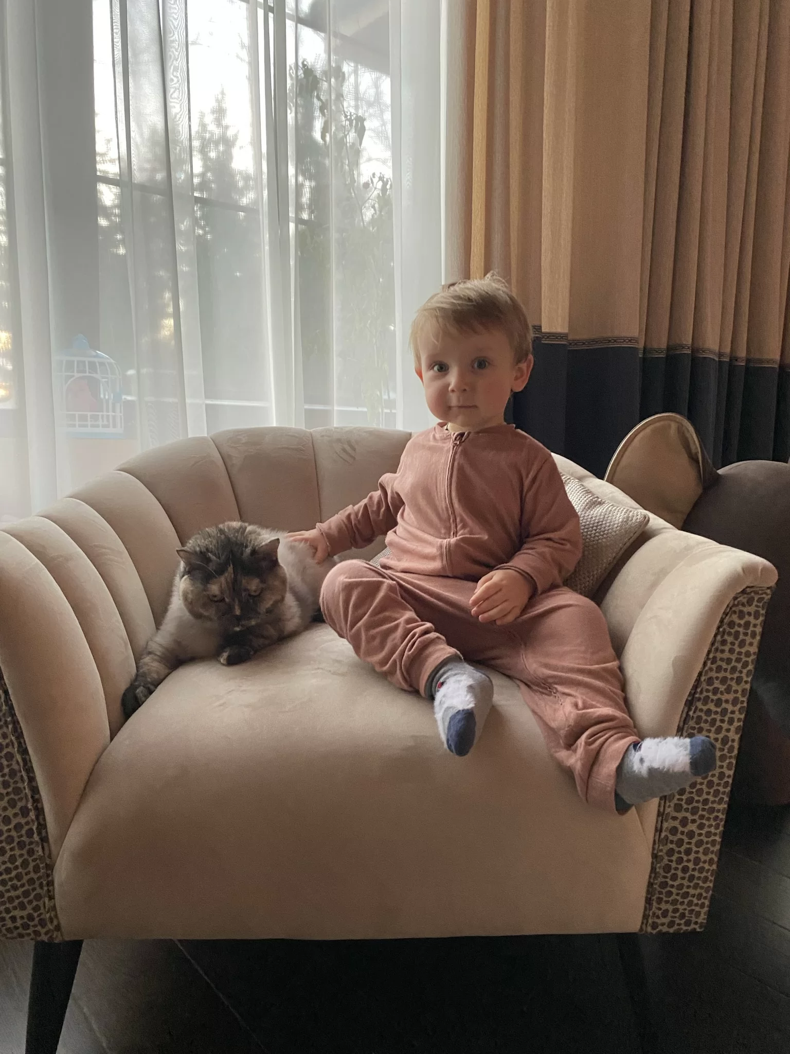 Мы обязательно приедем знакомиться!