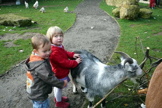 Третий год — третье спасибо за чудо, которое подарила нам Александра Вадимовна!