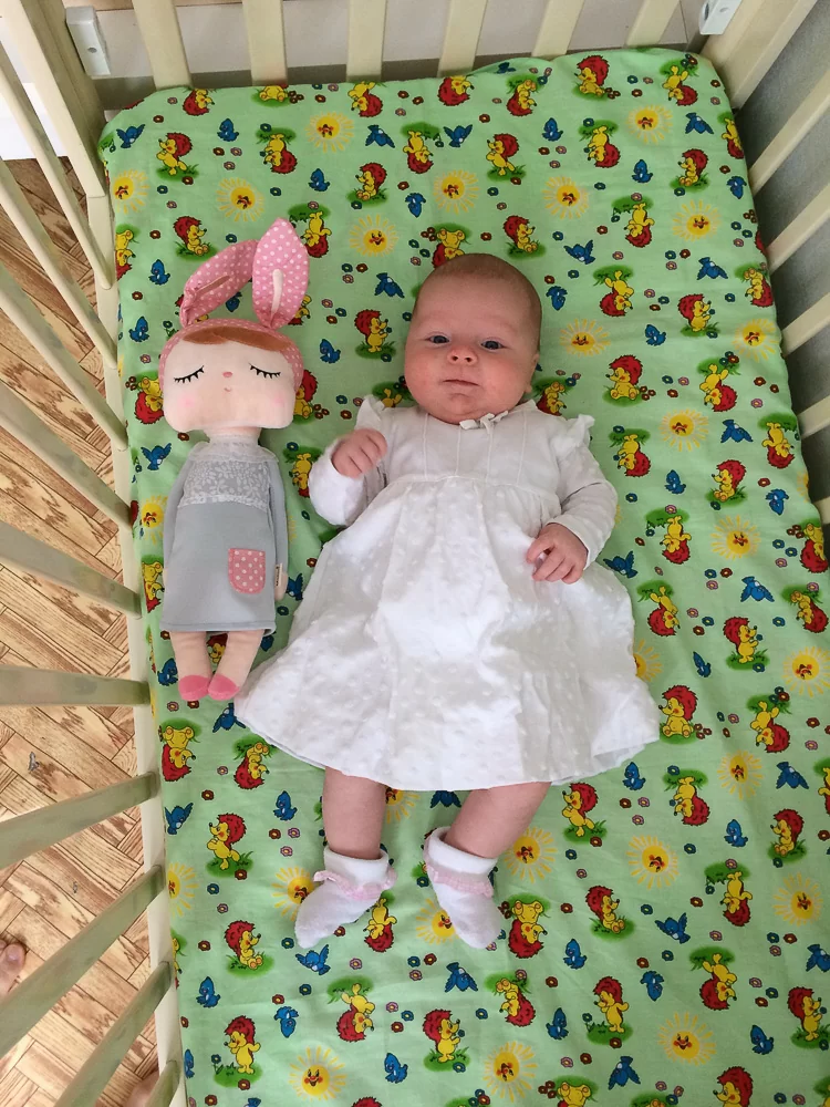 Профессионализм + человечность = наше счастье с первого протокола