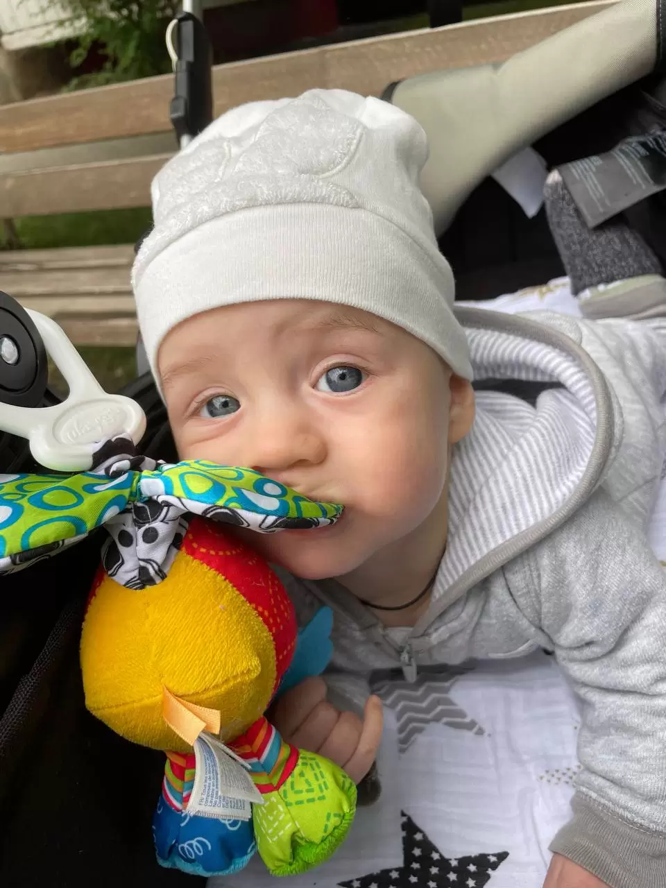 Лев, 5 месяцев!