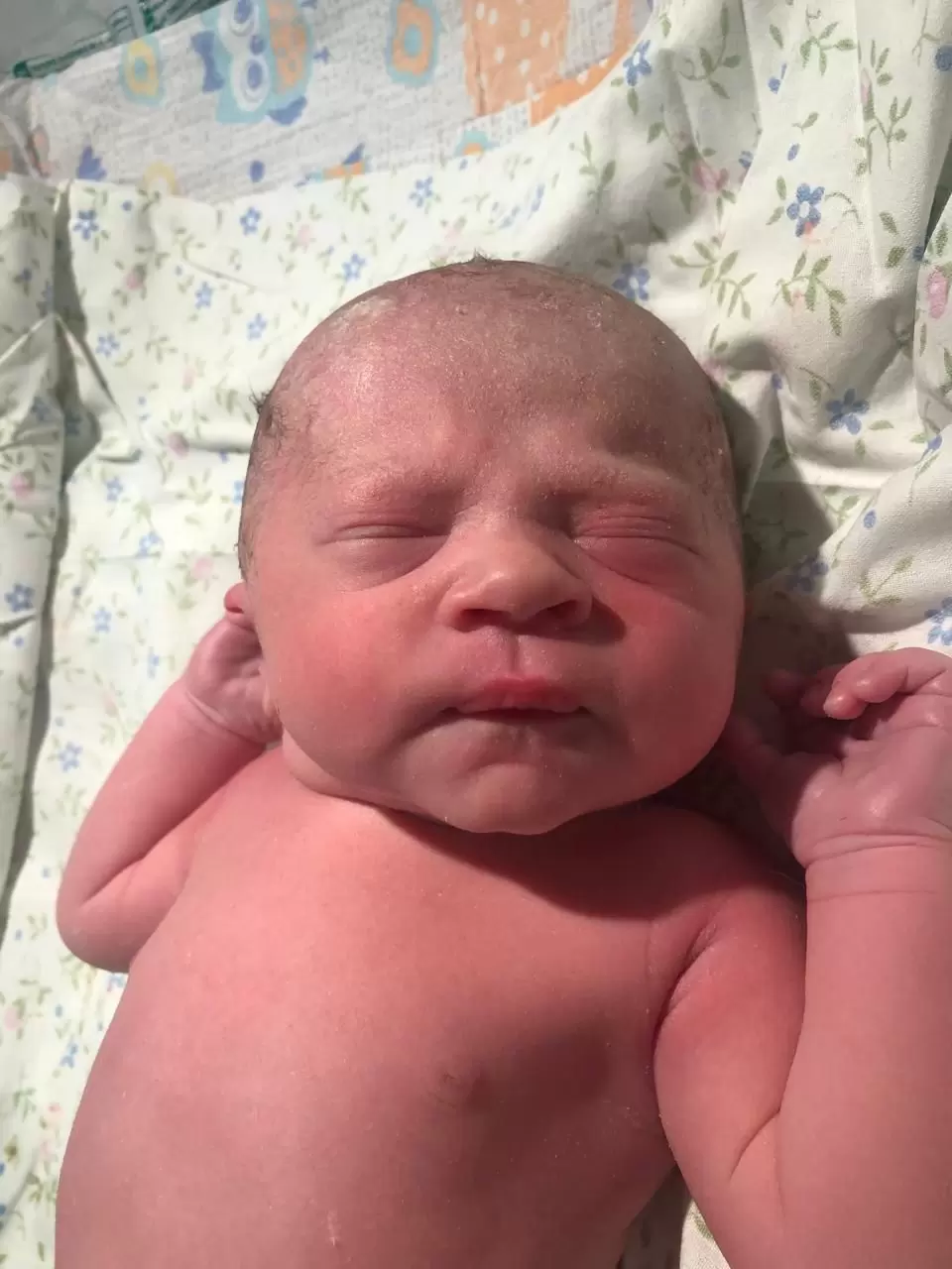 Вчера родилась наша Пелагея Александровна!