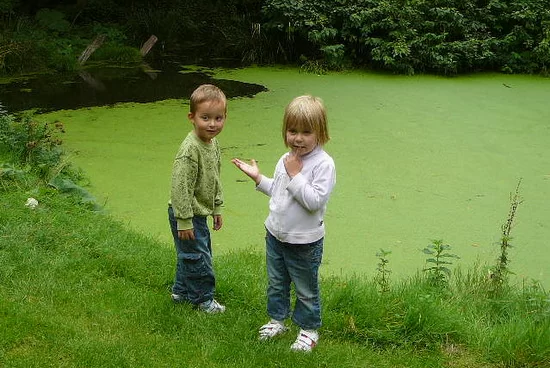 Врачу Александре Вадимовне Нефедовой, четвертый год — четвертое спасибо!
