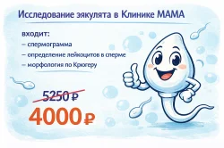 Снизили стоимость спермограммы в Клинике МАМА