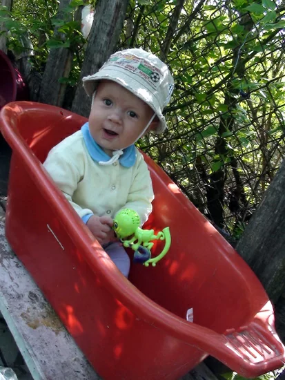 Мы выросли аж до 85 см, весим 14 кг.