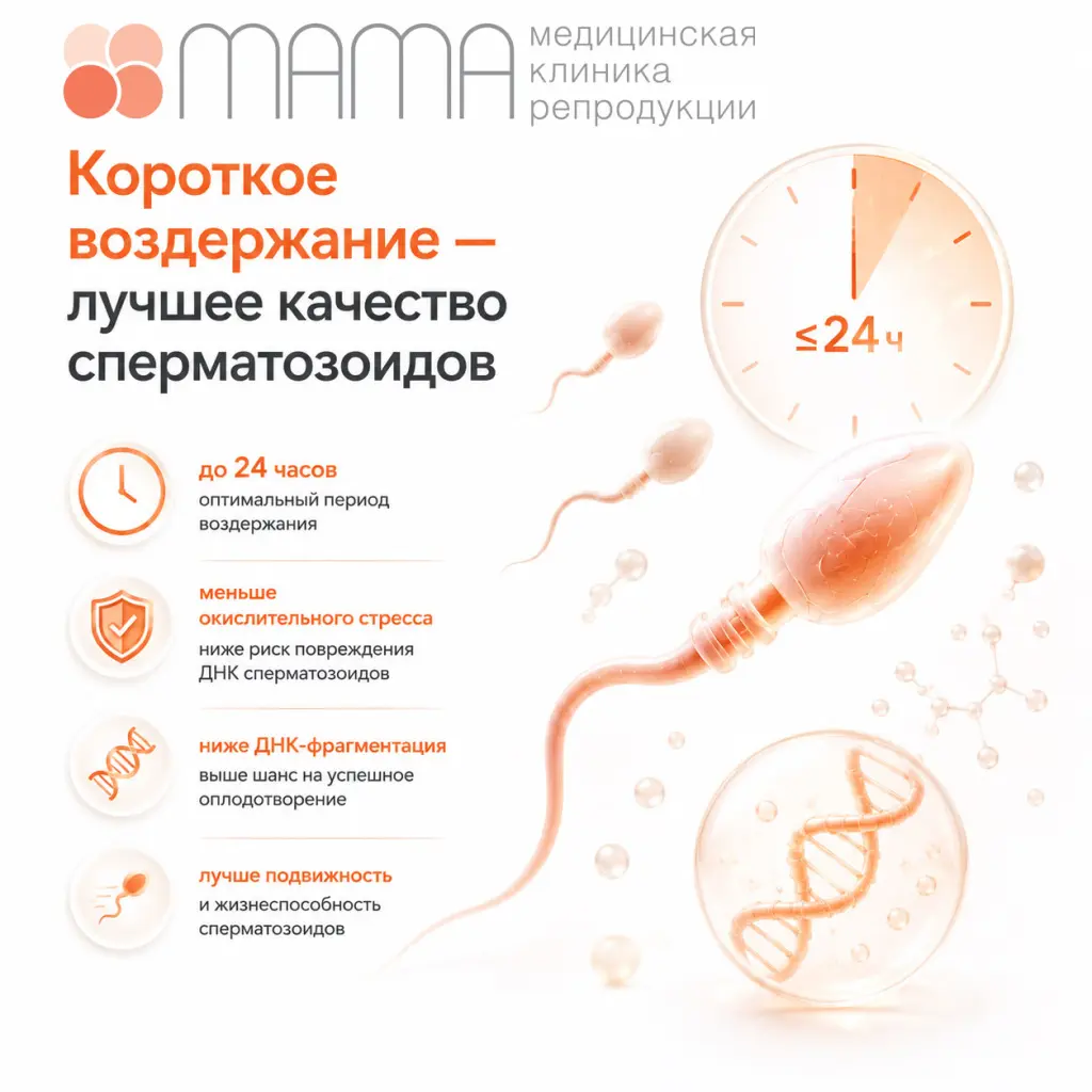 Меньше воздержание — лучше качество сперматозоидов? Меньше воздержание — лучше качество сперматозоидов?