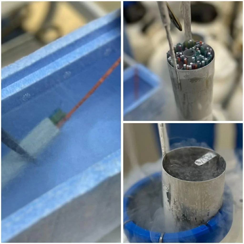 Криоперенос эмбрионов. Преимущества