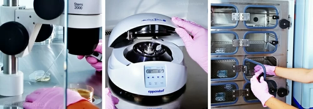 Эмбриология Клиники МАМА