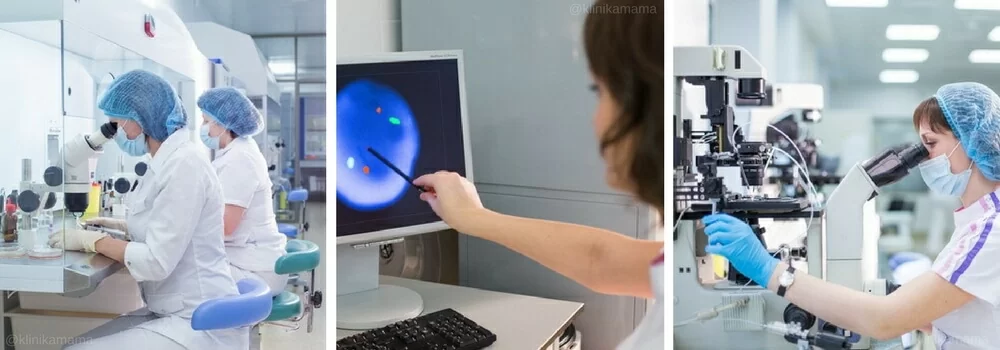 Эмбриология Клиники МАМА