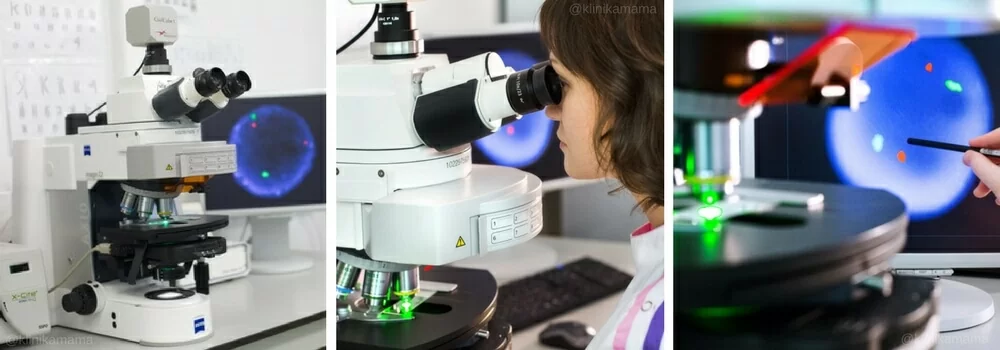 Эмбриология Клиники МАМА Эмбриология Клиники МАМА