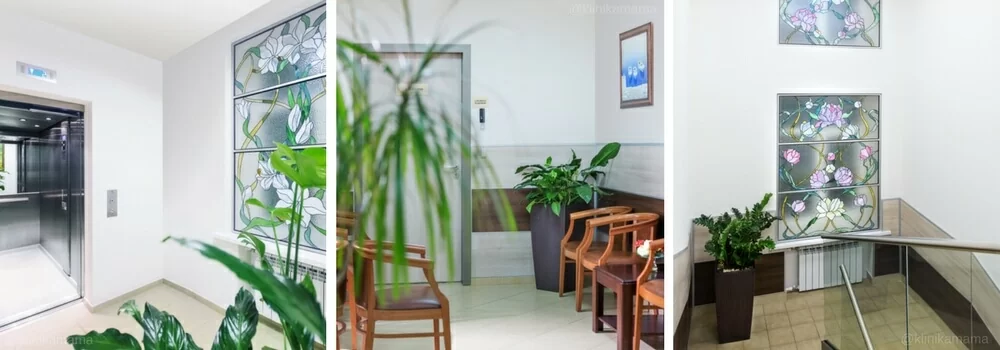 Интерьеры Клиники МАМА