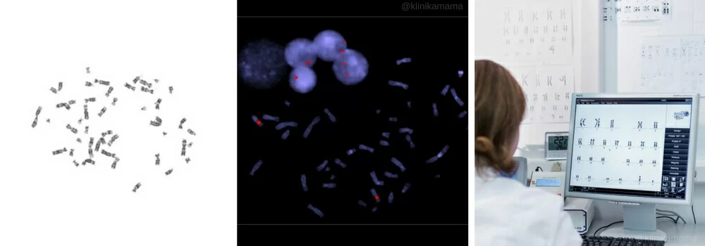 Эмбриология Клиники МАМА