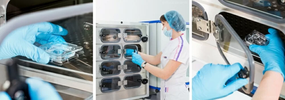 Эмбриология Клиники МАМА