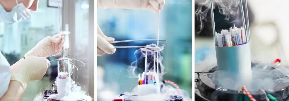 Эмбриология Клиники МАМА